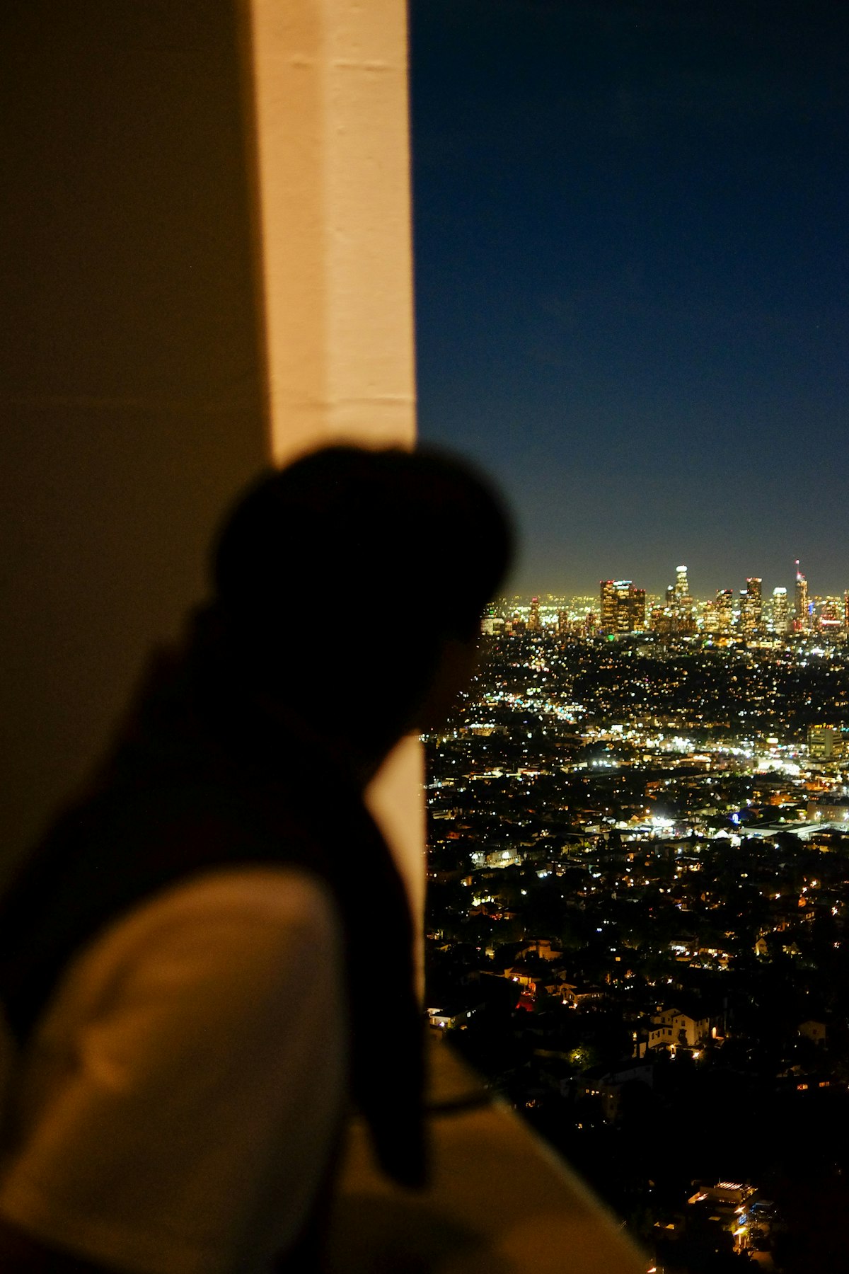 A night city viewed through a silhouette